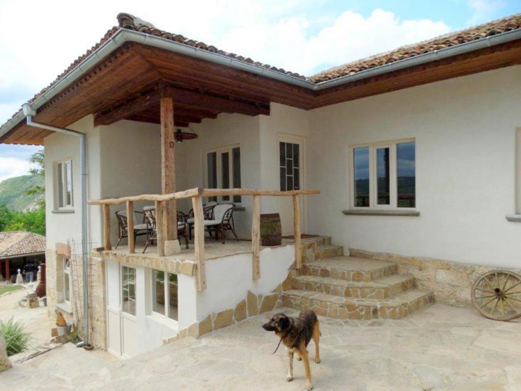 Guest House Biekorf Kostandenets المظهر الخارجي الصورة
