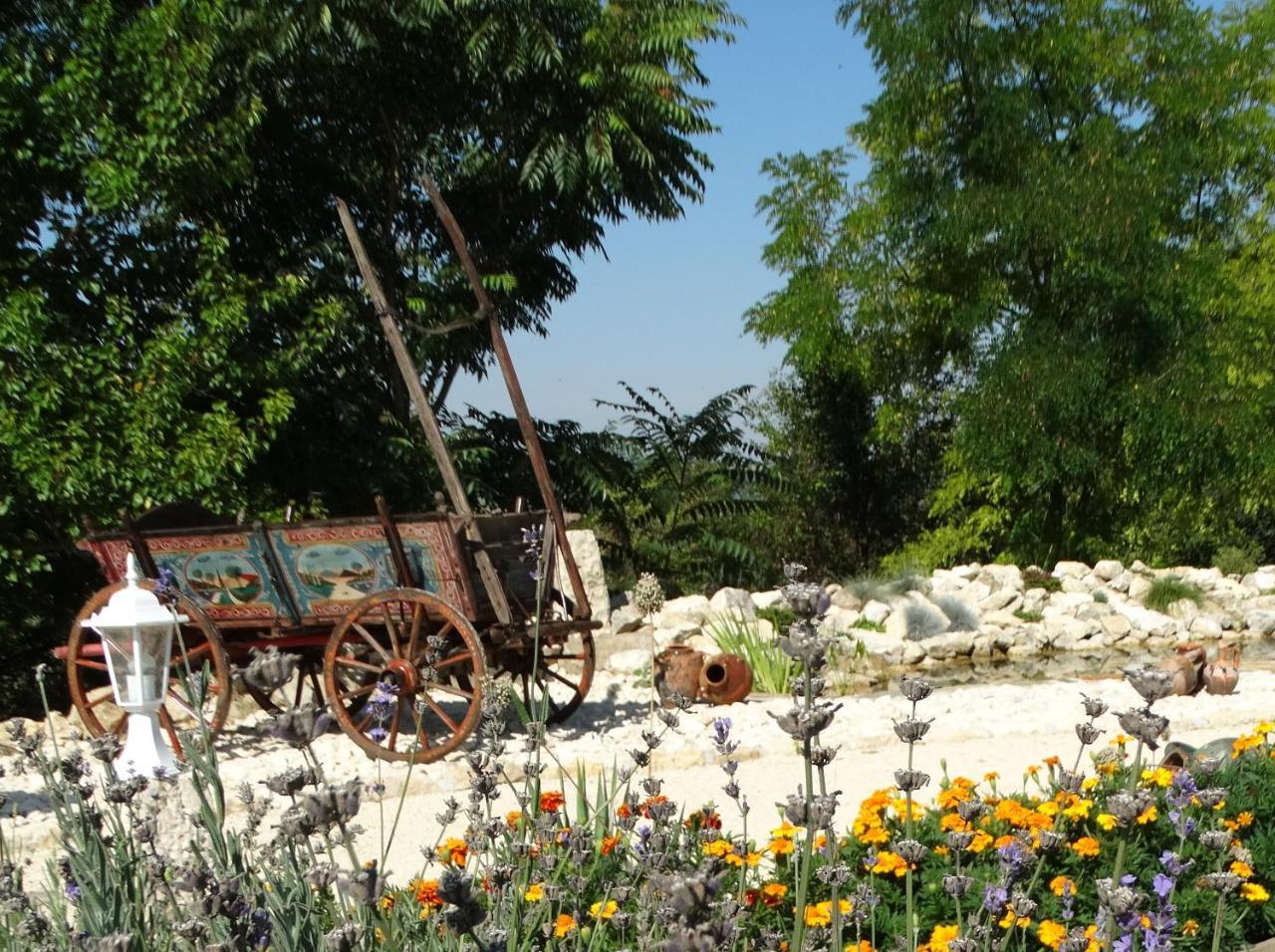 Guest House Biekorf Kostandenets المظهر الخارجي الصورة